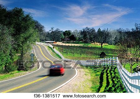 Country road through the Shenandoah Valley near Plymouth, Amador County, California View Large Photo Image Stock Photo - Country road through the Shenandoah Valley near Plymouth, Amador County, California. Fotosearch