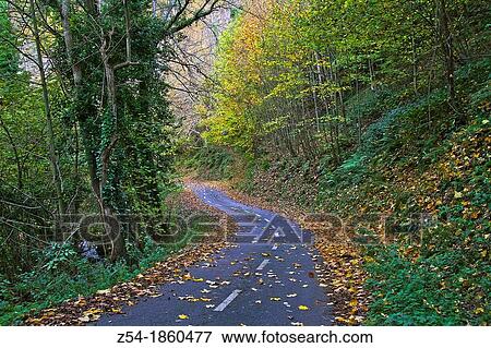 Stock Photo - Country road trough an autumnal forest, Asturias, Spain. Fotosearch