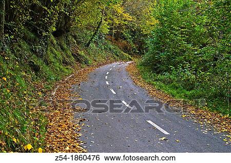 Stock Photograph - Country road trough an autumnal forest, Asturias, Spain. Fotosearch