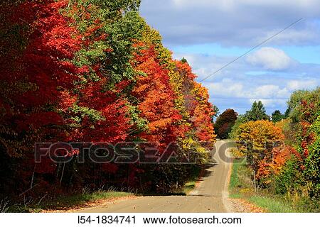 Stock Image - Country road with colorful fall leaves autumn trees Indiana. Fotosearch