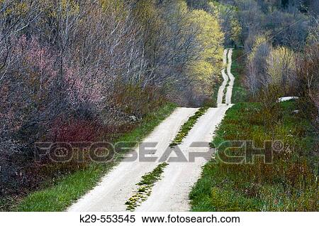 Country road with dandelions. Manitoulin Is., Ontario, Canada View Large Photo Image Stock Photography - Country road with dandelions. Manitoulin Is., Ontario, Canada. Fotosearch