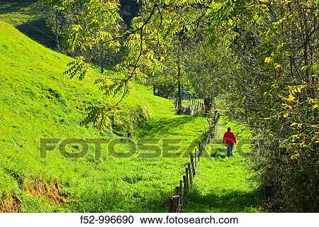 Countryside. Sobrelapea. Nansa River Valley. Cantabria. Spain. View Large Photo Image Stock Image - Countryside. Sobrelapea. Nansa River Valley. Cantabria. Spain.. Fotosearch