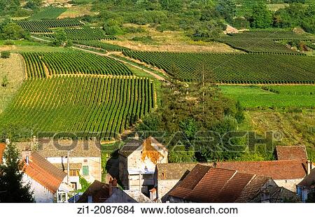 countryside with village and vineyards in Bourgogne, France View Large Photo Image Picture - countryside with village and vineyards in Bourgogne, France. Fotosearch