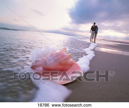 Couple at the beach View Large Photo Image Stock Photograph - Couple at the beach. Fotosearch