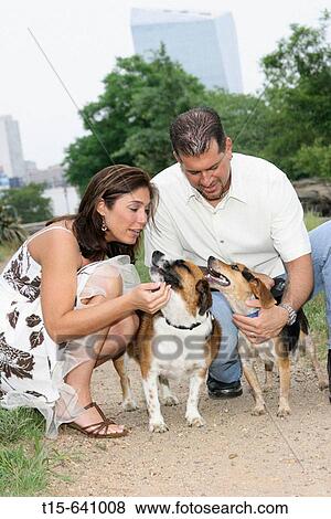 Couple having fun with their dogs View Large Photo Image Stock Photo - Couple having fun with their dogs. Fotosearch