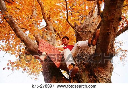 Couple in old maple tree View Large Photo Image Stock Photo - Couple in old maple tree. Fotosearch
