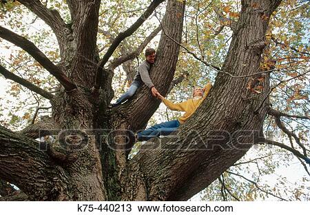 couple in old red oak tree View Large Photo Image Stock Image - couple in old red oak tree. Fotosearch