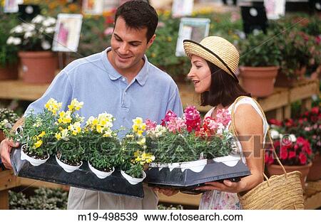 couple shopping for flowers View Large Photo Image Stock Photo - couple shopping for flowers. Fotosearch