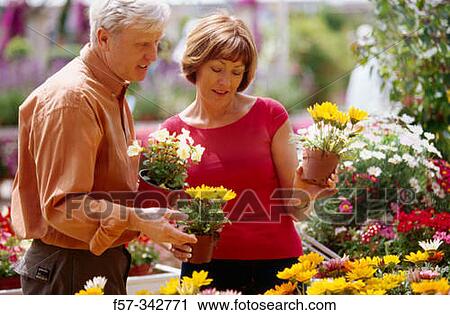 Couple View Large Photo Image Stock Image - Couple. Fotosearch
