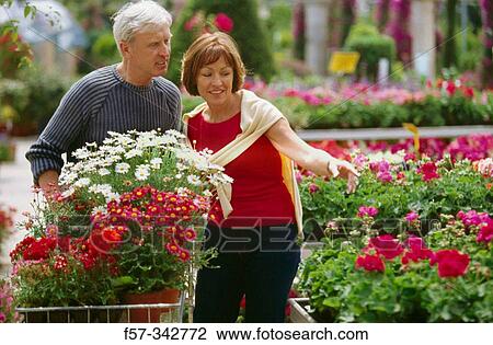 Couple View Large Photo Image Stock Image - Couple. Fotosearch
