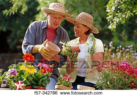 Couple View Large Photo Image Stock Photograph - Couple. Fotosearch