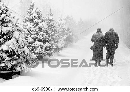 Stock Image - Couple walking in a winter snow storm, Montreal, Quebec, Canada. Fotosearch