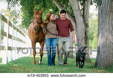 couple walking with a dog and their horse View Large Photo Image Stock Image - couple walking with a dog and their horse. Fotosearch