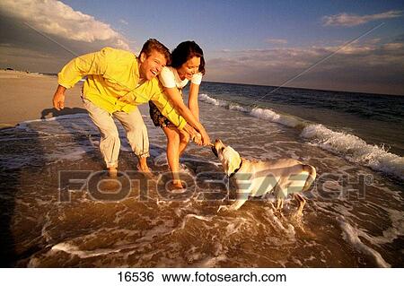Stock Photograph - Couple with dog on a beach. Fotosearch