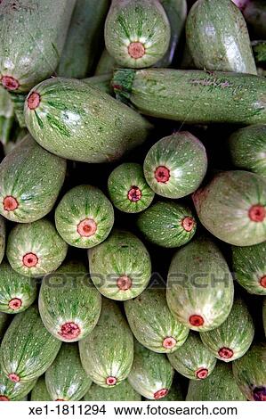 courgettes, vegetables View Large Photo Image Picture - courgettes, vegetables. Fotosearch