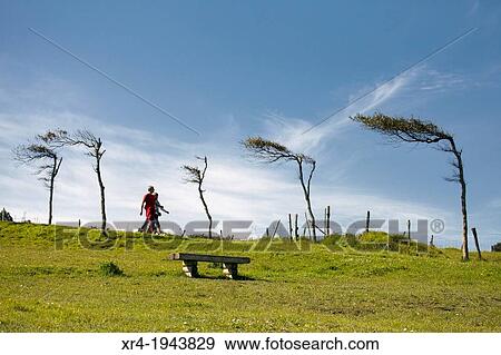 Stock Photo - Covaron Loading Platform, Covar? n Road, Muskiz, Biscay, Basque Country. Fotosearch