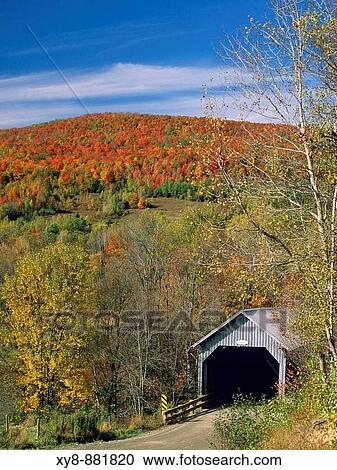 Covered-Bridge View Large Photo Image Stock Image - Covered-Bridge. Fotosearch
