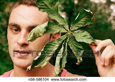 Picture - Covering face with leave.. Fotosearch