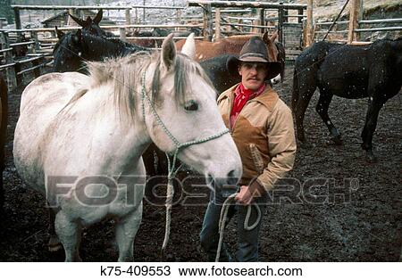 Cowboy and his horse in corral View Large Photo Image Stock Image - Cowboy and his horse in corral. Fotosearch