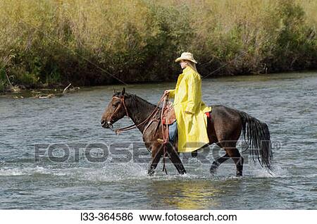 Cowboy crossing river. Monatana. USA View Large Photo Image Stock Photograph - Cowboy crossing river. Monatana. USA. Fotosearch