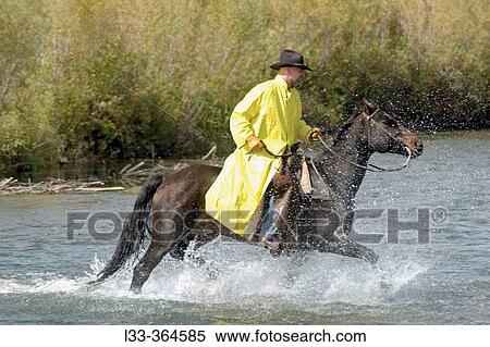 Cowboy crossing river. Monatana. USA View Large Photo Image Stock Photography - Cowboy crossing river. Monatana. USA. Fotosearch