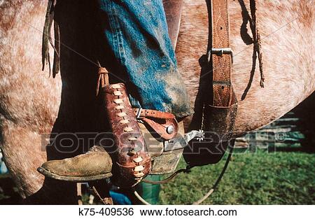 Cowboy in the saddle with spurs, Montana, USA View Large Photo Image Stock Photograph - Cowboy in the saddle with spurs, Montana, USA. Fotosearch