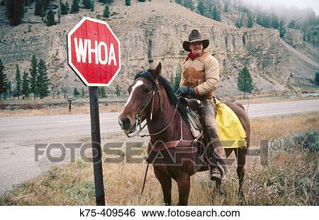 Cowboy on his horse with western stop sign View Large Photo Image Stock Photograph - Cowboy on his horse with western stop sign. Fotosearch