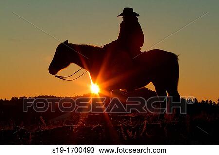Cowboy on horse at sunrise View Large Photo Image Stock Image - Cowboy on horse at sunrise. Fotosearch