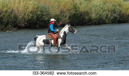Cowboy on Pinto horse crossing river. Montana. USA View Large Photo Image Stock Image - Cowboy on Pinto horse crossing river. Montana. USA. Fotosearch