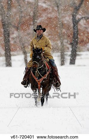 Cowboy out with his horse in winter, Shell, Wyoming, Usa View Large Photo Image Stock Image - Cowboy out with his horse in winter, Shell, Wyoming, Usa. Fotosearch