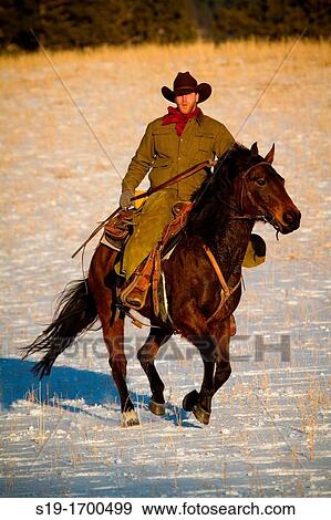 cowboy riding galloping horse View Large Photo Image Stock Photo - cowboy riding galloping horse. Fotosearch
