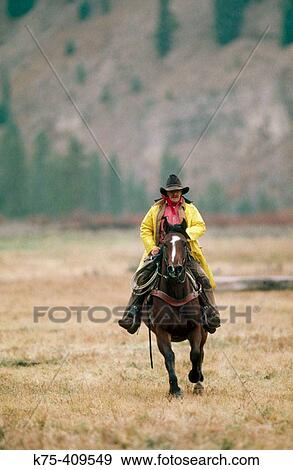Stock Photo - Cowboy riding his horse. Fotosearch