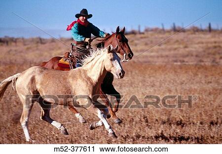 Cowboy running horses. Ponderosa Ranch, Seneca, Oregon, USA View Large Photo Image Stock Image - Cowboy running horses. Ponderosa Ranch, Seneca, Oregon, USA. Fotosearch