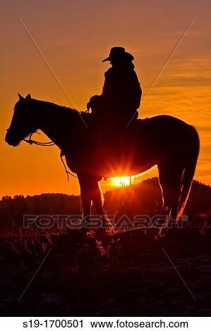 Stock Image - Cowboy silhouette riding horse. Fotosearch