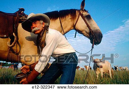 Cowboy Steve Murrin during a cattle drive. Fort-Worth. Texas, USA View Large Photo Image Stock Photo - Cowboy Steve Murrin during a cattle drive. Fort-Worth. Texas, USA. Fotosearch