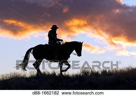 Cowboy, The Hideout Guest Ranch, Shell, Wyoming, USA View Large Photo Image Stock Image - Cowboy, The Hideout Guest Ranch, Shell, Wyoming, USA. Fotosearch