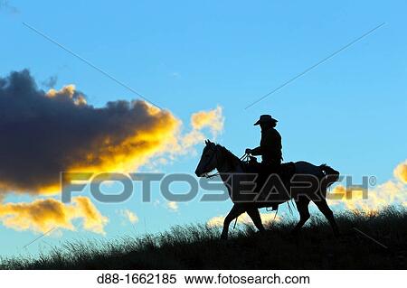 Cowboy, The Hideout Guest Ranch, Shell, Wyoming, USA View Large Photo Image Stock Photography - Cowboy, The Hideout Guest Ranch, Shell, Wyoming, USA. Fotosearch