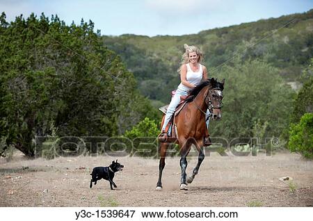 Stock Photo - Cowgirl handling horse and riding on horseback. Fotosearch