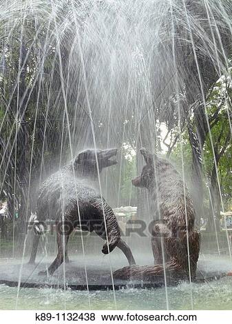 Stock Photo - Coyotes fountain, Centenary Garden, Mexico City. Fotosearch