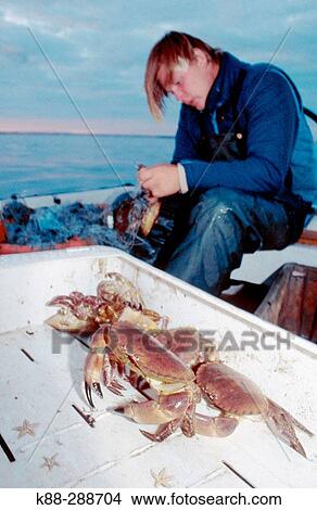 Picture - Crab fisherman in Havstenssund. Bohusln, Sweden. Fotosearch