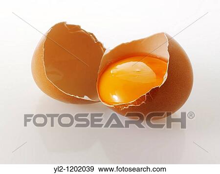 Cracked open fresh Burford Brown free range organic Eggs View Large Photo Image Stock Photo - Cracked open fresh Burford Brown free range organic Eggs. Fotosearch