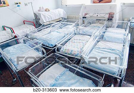 Cradles for newborn babies at pediatrics section of hospital View Large Photo Image Stock Image - Cradles for newborn babies at pediatrics section of hospital. Fotosearch