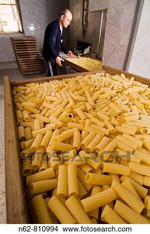 craftsman who prepares typical Italian macaroni pasta View Large Photo Image Picture - craftsman who prepares typical Italian macaroni pasta. Fotosearch