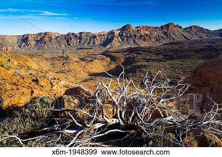 Crater. Teide National Park. Tenerife, Canary Islands, Atlantic Ocean, Spain. View Large Photo Image Stock Photo - Crater. Teide National Park. Tenerife, Canary Islands, Atlantic Ocean, Spain.. Fotosearch