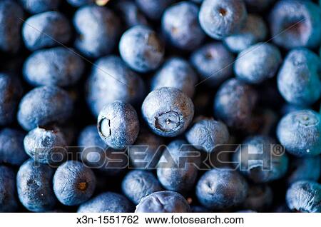 Stock Image - Crates of blueberries for sale at a farmer's market. Fotosearch