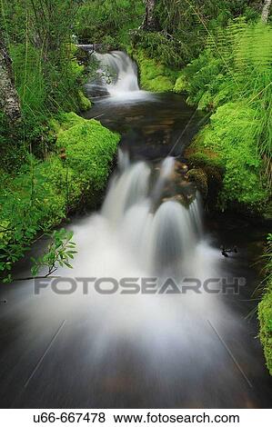 Creek. H? rjedalen, Sweden View Large Photo Image Stock Photo - Creek. H? rjedalen, Sweden. Fotosearch