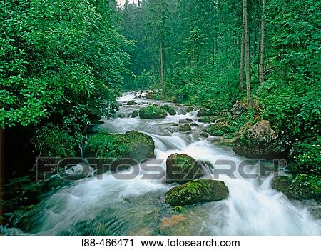 Creek View Large Photo Image Stock Image - Creek. Fotosearch