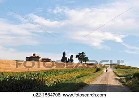 Crespellano (Bologna, Italy): road in the countryside, between the fields View Large Photo Image Stock Photograph - Crespellano (Bologna, Italy): road in the countryside, between the fields. Fotosearch