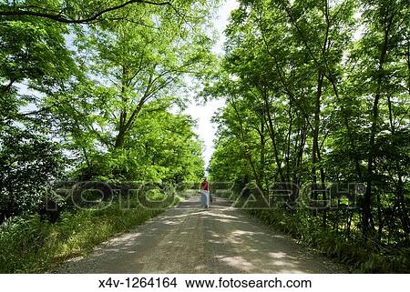 Picture - Crete senesi area, road to Monte Sante Marie near Asciano, Siena Province, Siena, Tuscany, Italy, Europe, M R. Fotosearch