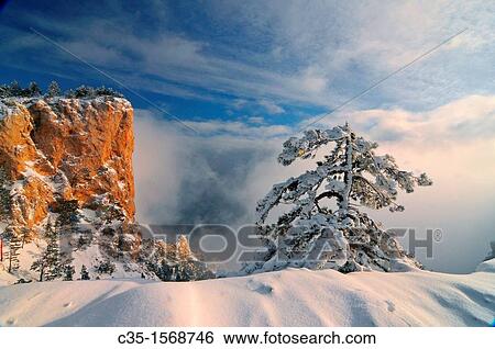 Crimea Ukraine Wood Ai-petri View Large Photo Image Stock Photograph - Crimea Ukraine Wood Ai-petri. Fotosearch
